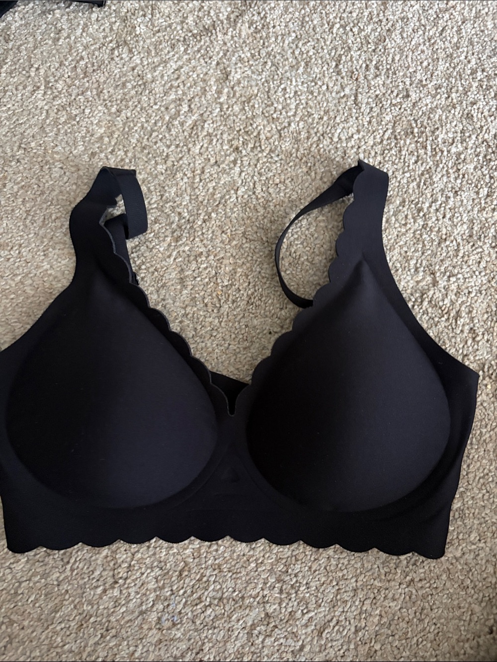 Scallop-Edge Seamless Black T-Shirt Bra Celeste D’or Curve